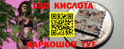 стафф Новозыбков