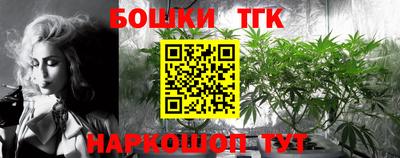 герыч Новодвинск