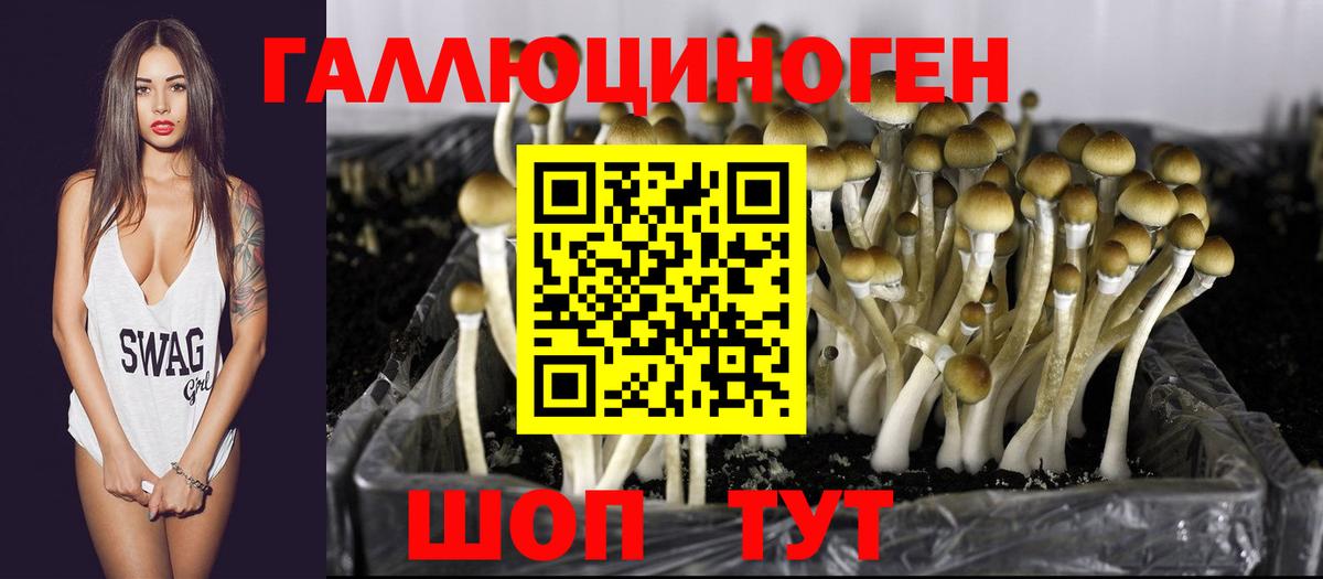 Галлюциногенные грибы Magic Shrooms  Псилоцибиновые грибы ЛСД  Россошь  Вход с VPN 